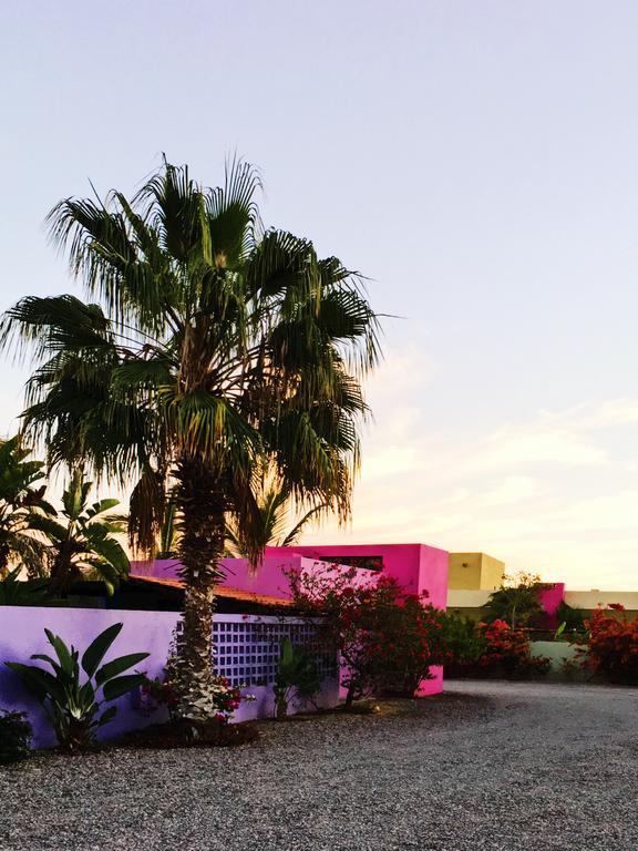 The Hotelito Todos Santos Exterior foto